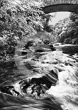 River Lyn Rapids