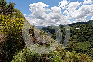 River Magdalena valley in southern part of Colombia photo