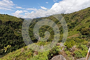 River Magdalena valley in southern part of Colombia photo