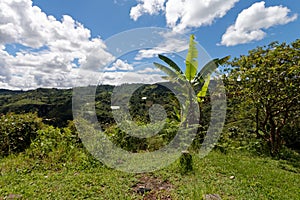 River Magdalena valley in southern part of Colombia photo