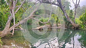 A river in Manokwari, West Papua