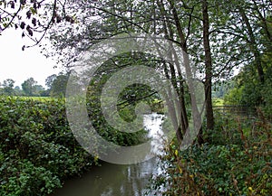 River Medway at Forest Row photo