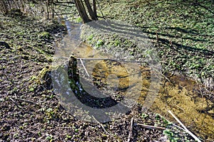 A river of meltwater in the spring, a clear river in the forest