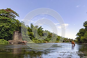 River Miel in Baracoa, Cuba photo