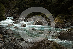 River in Milford sound in NZ