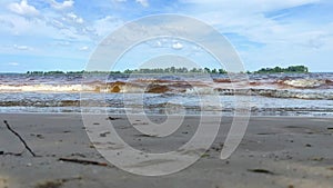 River mollusks on a sandy shore in Mode time lapse. View of the wide river. Far green trees. Movement of a water wave