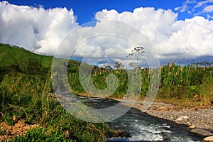 River in Monteverde (Costa Rica)