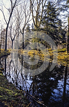 River in the Monza Park