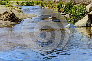 River Moorpark California