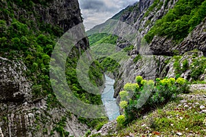 River Moraca in Montenegro mountains.