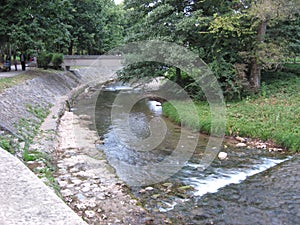 River Moravica, Clear and cold water, Mountain, Park, Springtime