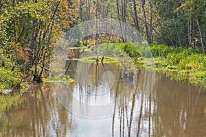 River in the morning.