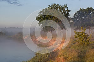 River in morning covered with fog