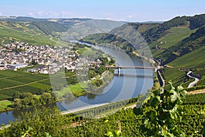 River mosel in trittenheim