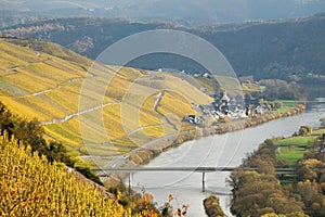 River Mosel Vineyards