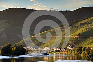 River Moselle and grape fields