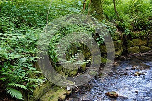 River with moss covered rocks at swabian alb