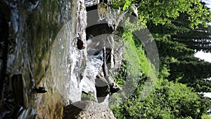 River in a mountain forest.