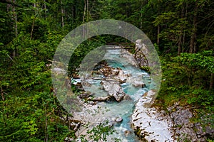 River in the mountain forest