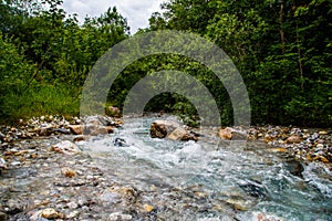 River in the mountain forest