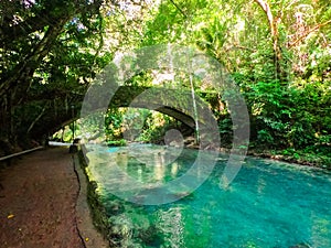 River in a mountain gorge in the tropical jungle of the Philippines