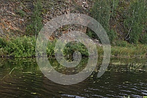 River and mountain with trees in the steppe field