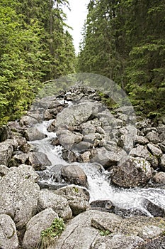 River in the mountains