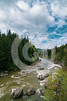 River in the mountains. Beautiful alpine landscape. Sky blue clouds. Landscape of Carpathians, Ukraine. Travel background. Pine fo