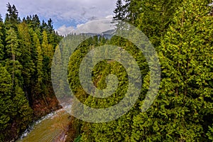 river, with mountains, a green forest with trees and a blue cloudy sky