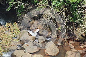 River in the mountains of rajmachi