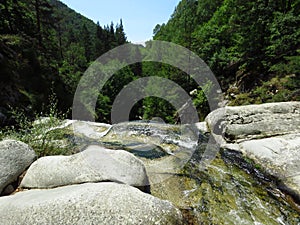 River in the mountains running between stone river banks. Valley, nature, green coniferous trees on the slopes, forest, rivulet.