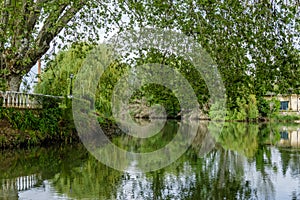 River Nabao floating through Tomar, Portugal. garden