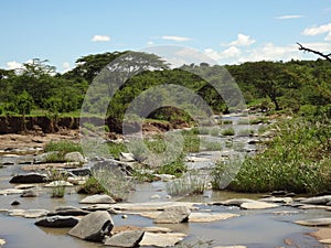 River in Naboisho Conservancy, Kenya photo