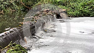 River in the Nairobi Arboretum