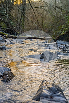 River is a natural flowing watercourse photo