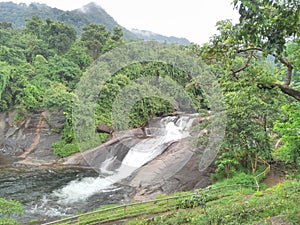 River & Nature photo