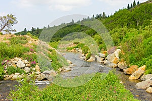 A river near an active gold mine in the yukon territories