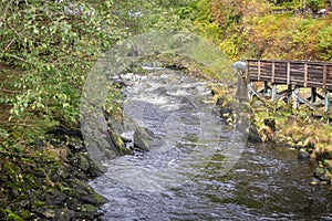 River near Creek Street in Alaksa