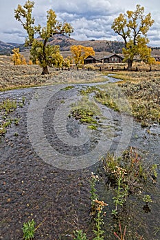 A river near the rangers house of Yellowstone park