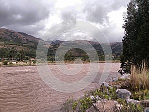 River near tree and cloudy sky photo