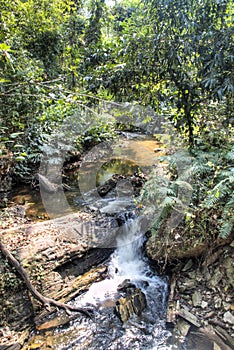 River near Wli waterfall in the Volta Region in Ghana photo