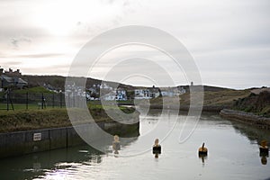 The River Neet or Strat near the coast at Bude, Cornwall photo