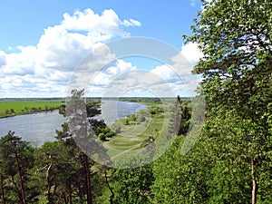 River Nemunas and beautiful trees, Lithuania