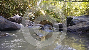 River in north sumatera