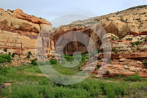 Escalante National Monument, River Oasis at the Entrance of Calf Creek Canyon, Utah