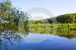 River Obra at sunny day photo