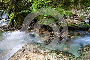 River in Ojo GuareÃÂ±a photo