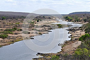 River Olifants with animal,Kruger NP,South Africa