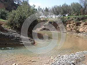 Refreshing stream with olive trees in Aderj, Sefrou, Morocco photo