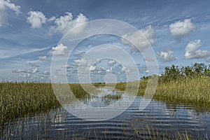 River opening in swampland of Everglades, Florida, USA